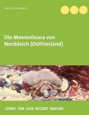 Bild des Verkufers fr Die Meeresfauna von Norddeich (Ostfriesland) zum Verkauf von AHA-BUCH GmbH