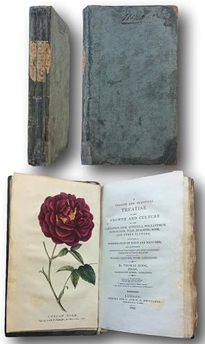 A Concise and Practical Treatise on the Growth and Culture of the Carnation,Pink,Auricula,Polyant...