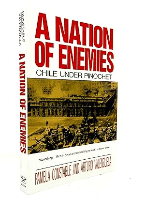 Imagen del vendedor de A Nation of Enemies: Chile Under Pinochet (Norton Paperback) a la venta por The Parnassus BookShop