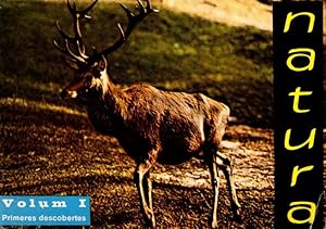 Seller image for NATURA - VOLUM I - PRIMERES DESCOBERTES for sale by LLIBRERIA TECNICA