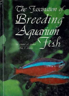 The Fascination Of Breeding Aquarium Fish