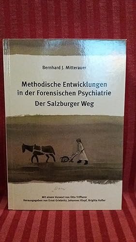 Seller image for Methodische Entwicklungen in der forensischen Psychiatrie Der Salzburger Weg for sale by Buchhandlung Neues Leben