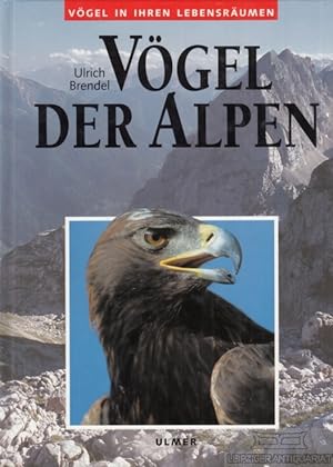 Bild des Verkufers fr Vgel der Alpen zum Verkauf von Leipziger Antiquariat