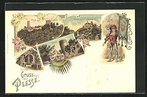 Seller image for Lithographie Bovenden-Eddigehausen, Burg Plesse, Burghof, Burgtor for sale by Bartko-Reher