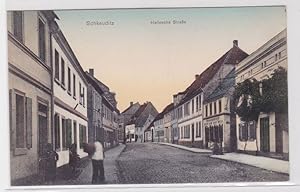 93960 Ak Schkeuditz Hallesche Strasse mit Geschäften 1909