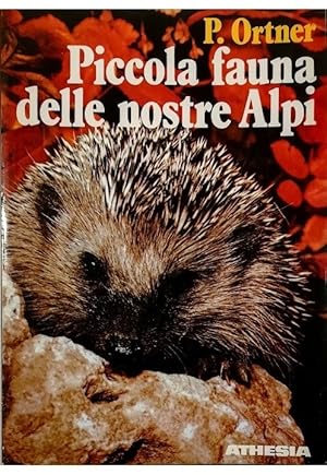 Piccola fauna delle nostre Alpi