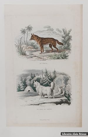 Seller image for Le chacal. Le chien de Sib�rie : lithographie for sale by Librairie Alain Brieux