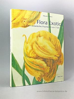 Bild des Verkufers fr Flora Exotica. Ein botanisches Prachtwerk von 1720. zum Verkauf von Bibliotheca Botanica