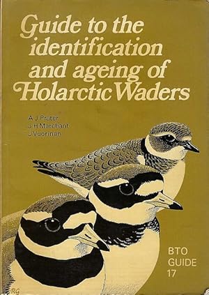Guide to the Identification and Ageing of Holarctic Waders. BTO Guide No. 17.