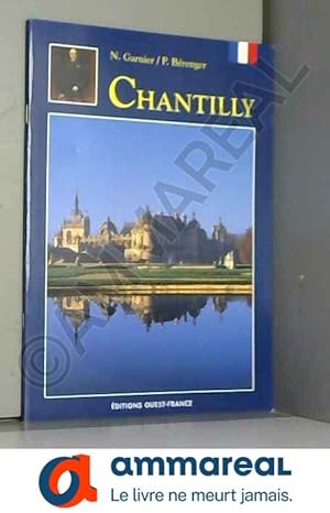 Bild des Verkufers fr Chantilly zum Verkauf von Ammareal