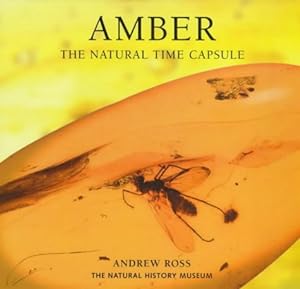 Immagine del venditore per Amber: The Natural Time Capsule venduto da PEMBERLEY NATURAL HISTORY BOOKS BA, ABA
