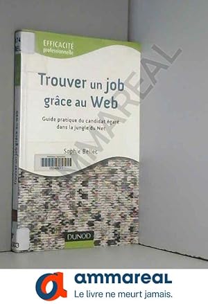 Image du vendeur pour Trouver un job grce au Web 2.0: Guide pratique du candidat gar dans la jungle du Net mis en vente par Ammareal