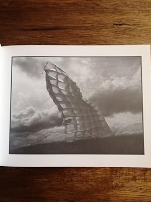 Le carré d incertitude Sculptures à vent de Daniel Graffin à l hôtel Libéral Bruant 2003 - - Scul...