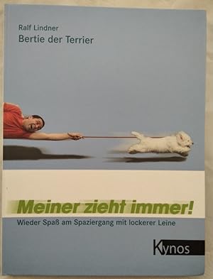 Meiner zieht immer! Wieder Spaß am Spaziergang mit lockerer Leine. Bertie der Terrier.