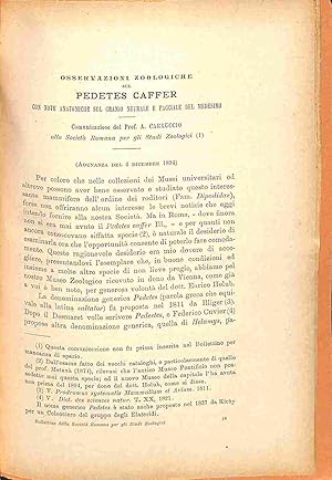 Osservazioni zoologiche sul Pedetes caffer con note anatomiche sul cranio neutrale e facciale del...