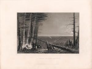 A Forest on Lake Ontario. (B&W engraving).