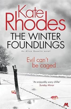 Seller image for Winter Foundlings (Paperback) for sale by Grand Eagle Retail