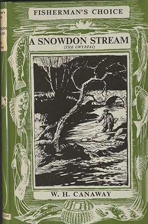 A Snowdon Stream (The Gwyrfai) & How to Fish it