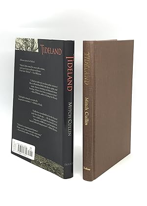 Immagine del venditore per Tideland (First Edition) venduto da Dan Pope Books