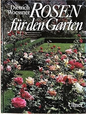 Rosen für den Garten.