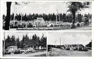 Immagine del venditore per Ansichtskarte / Postkarte Springhirsch Ntzen in Schleswig Holstein, Campingplatz Onkel Toms Htte venduto da akpool GmbH