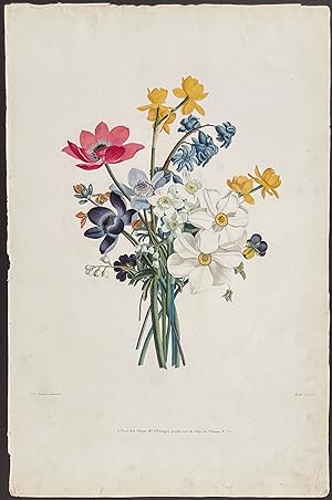 Bouquet of Anemone, Daffodil, Pansies - Bouquet de Jacinte, Narcises divers, Anemones, Pensees, P...