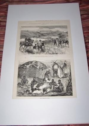 Image du vendeur pour Illustrations from The Zulu War - King's Dragoon Guards on the March: Halting for the Night at Pinetown AND King Cetewayo's Cooks [Wood Engravings] First from a Sketch by Our Special Artist Mr. Melton Prior and Seconf signed "H. Furniss" mis en vente par Antiquarian Bookshop