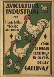 Avicultura industrial como se logran beneficios efectivos en la cria de las gallinas