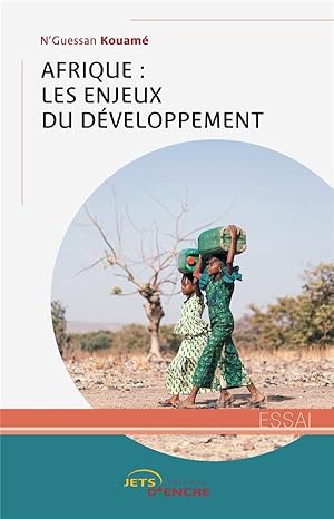 afrique : les enjeux du developpement