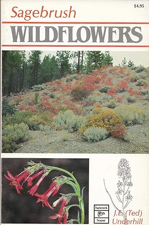 Bild des Verkufers fr Sagebrush Wildflowers zum Verkauf von First Class Used Books