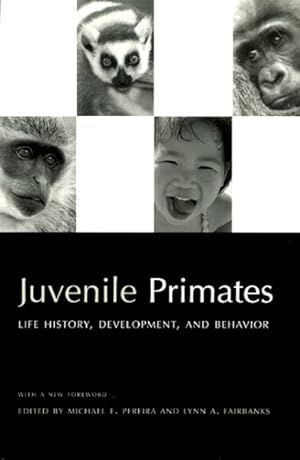 Imagen del vendedor de Juvenile Primates : Life History, Development, and Behavior a la venta por GreatBookPrices