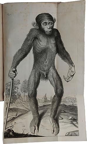 Orang-Outang, sive homo sylvestris; or, the anatomie of a pygmie compared with that of a monkey, ...