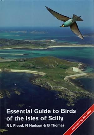 Essential Guide to Birds of the Isles of Scilly