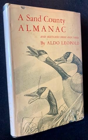 a sand county almanac and sketches here and there a sand county almanac and sketches here and there