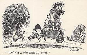 Norman Thelwell Pony Horse Camp Wheelbarrow Transport Postcard