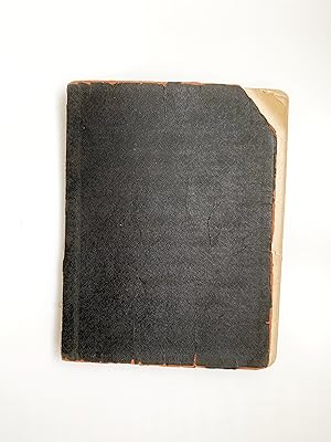 1924 to 1925 Original Handwritten Diary of a New York Flapper in the Roaring Twenties Spending He...