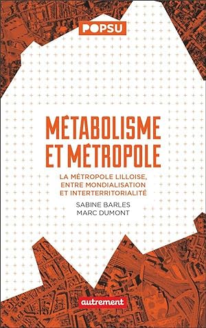 métabolisme et métropole ; la métropole lilloise, entre mondialisation et interterritorialité
