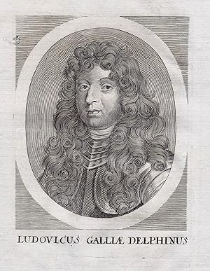 Bild des Verkufers fr Ludovicus Galliae Delphinus" - Louis de Bourbon, dauphin de Viennois (1661-1711) Dauphin gravure Portrait zum Verkauf von Antiquariat Steffen Vlkel GmbH