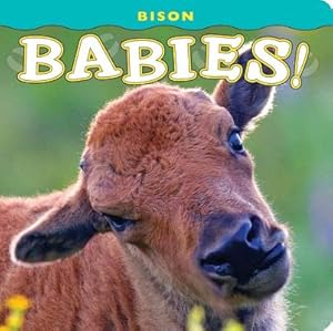 Immagine del venditore per Bison Babies! (Board Book) venduto da BargainBookStores
