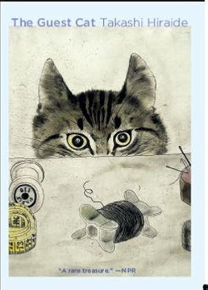 Imagen del vendedor de Guest Cat a la venta por GreatBookPrices