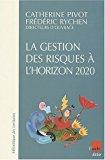 Image du vendeur pour La Gestion Des Risques  L'horizon 2020 mis en vente par RECYCLIVRE