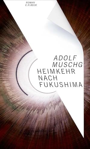 Bild des Verkufers fr Heimkehr nach Fukushima : Roman zum Verkauf von AHA-BUCH GmbH