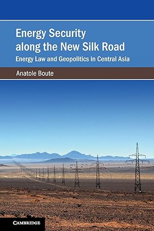 Immagine del venditore per Energy Security along the New Silk Road venduto da moluna