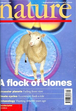 Seller image for Viable Offspring Derived From Fetal and Adult Mammalian Cells WITH An Udder Way of Making Lambs (Comment by Stewart) in Nature 385, no. 6619, February 27, 1997, pp. 810-813; (Wilmut & Campbell); 769-771 (Stewart) for sale by Atticus Rare Books