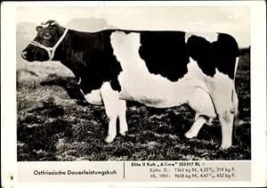 Bild des Verkufers fr Ansichtskarte / Postkarte Ostfriesische Dauerleistungskuh, Elite II Kuh Aline 353517 RL zum Verkauf von akpool GmbH