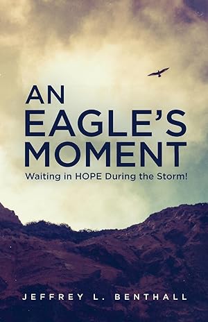 Seller image for An Eagle\ s Moment: Waiting in HOPE During the Storm! for sale by moluna