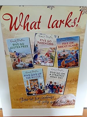 Promotional Book Poster: What Larks