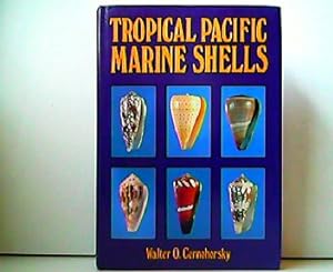 Bild des Verkufers fr Tropical Pacific Marine Shells. zum Verkauf von Antiquariat Kirchheim