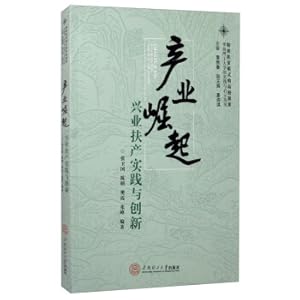 Seller image for Industry Rise: Practice and Innovation of Industrial Support(Chinese Edition) for sale by liu xing