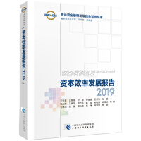 Seller image for Capital Efficiency Development Report 2019(Chinese Edition) for sale by liu xing